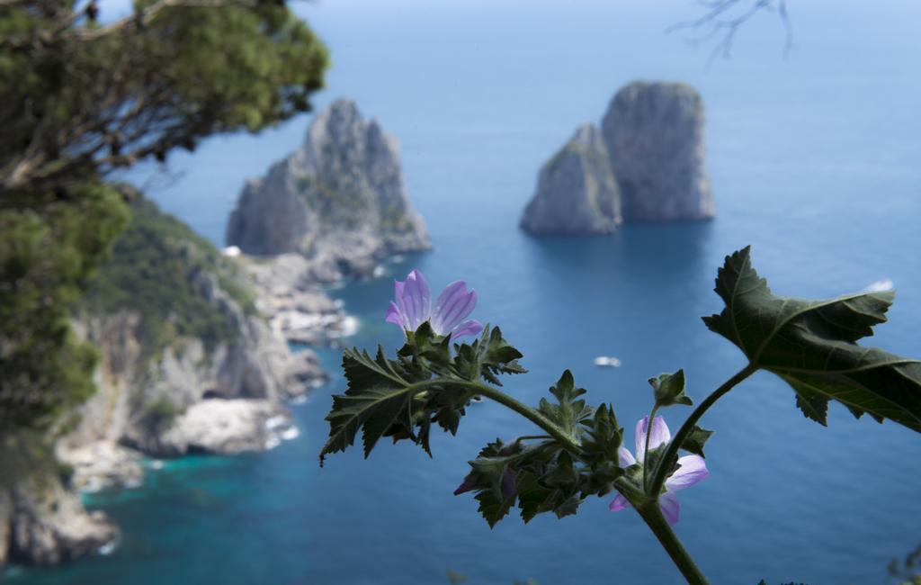 Hotel Bussola Anacapri  Bagian luar foto